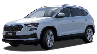 Skoda Karoq — миниатюра 2
