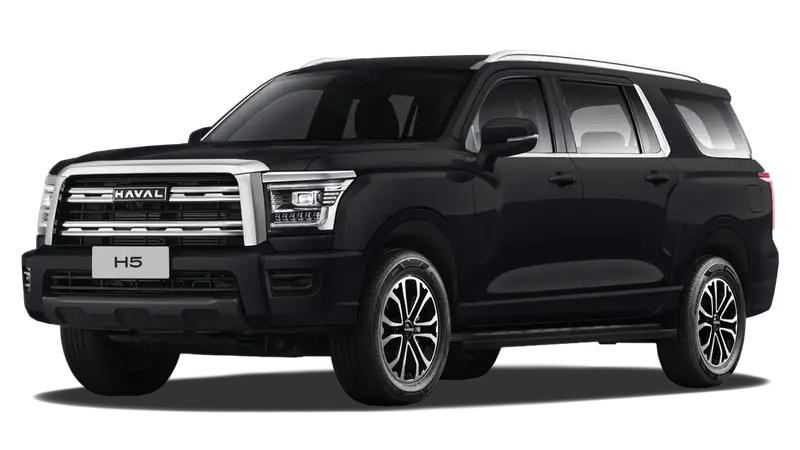 Haval H5 — миниатюра 11