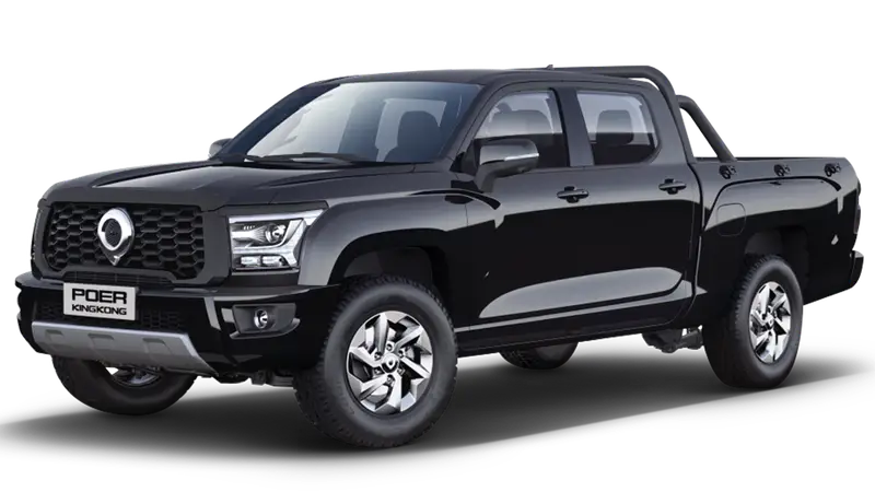Haval GWM Poer King Kong — миниатюра 7
