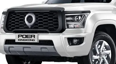 Haval GWM Poer King Kong — миниатюра 12
