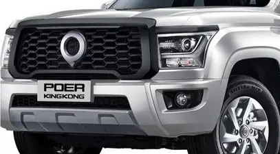 Haval GWM Poer King Kong — миниатюра 2