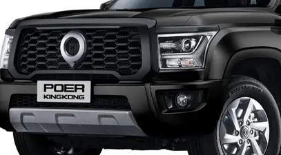 Haval GWM Poer King Kong — миниатюра 8