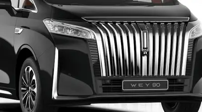 WEY 80 — миниатюра 2
