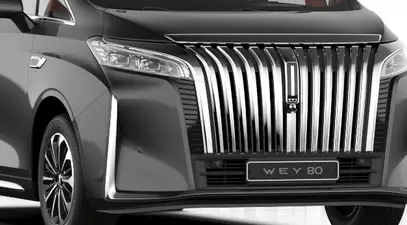 WEY 80 — миниатюра 20