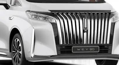 WEY 80 — миниатюра 12