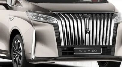 WEY 80 — миниатюра 16