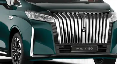 WEY 80 — миниатюра 8