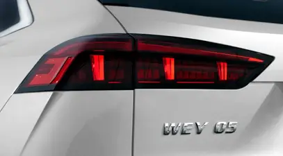 WEY 05 — миниатюра 22