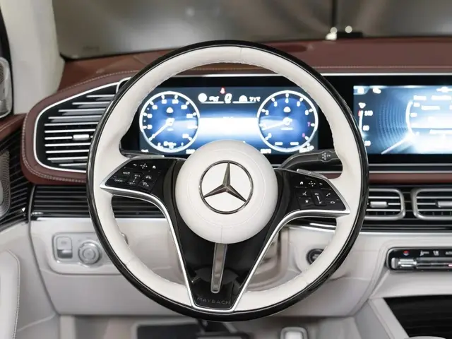Mercedes-Benz Maybach GLS — миниатюра 13