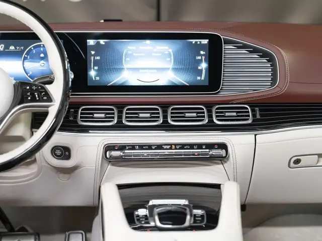 Mercedes-Benz Maybach GLS — миниатюра 14