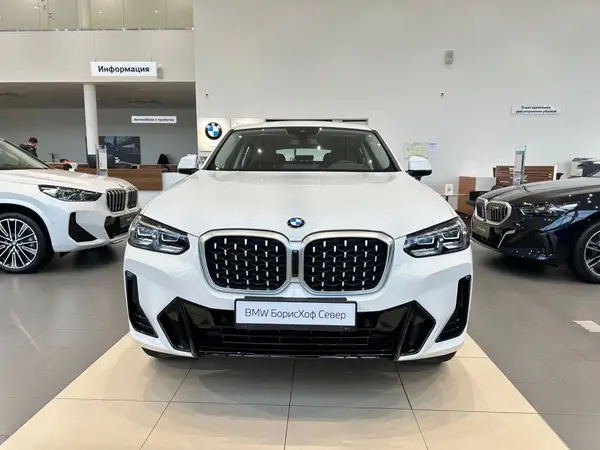 BMW X4 — миниатюра 39