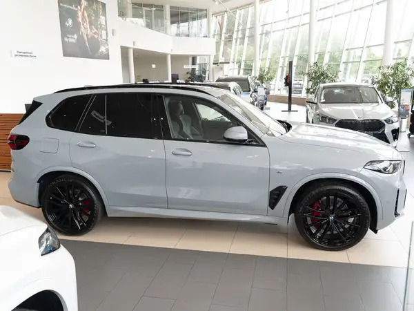 BMW X5 — миниатюра 24