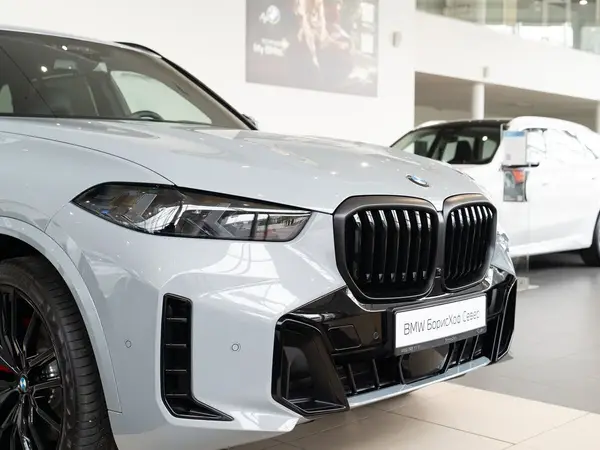 BMW X5 — миниатюра 30