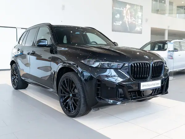 BMW X5 — миниатюра 3