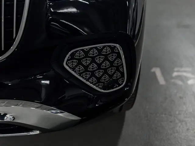 Mercedes-Benz Maybach GLS — миниатюра 32