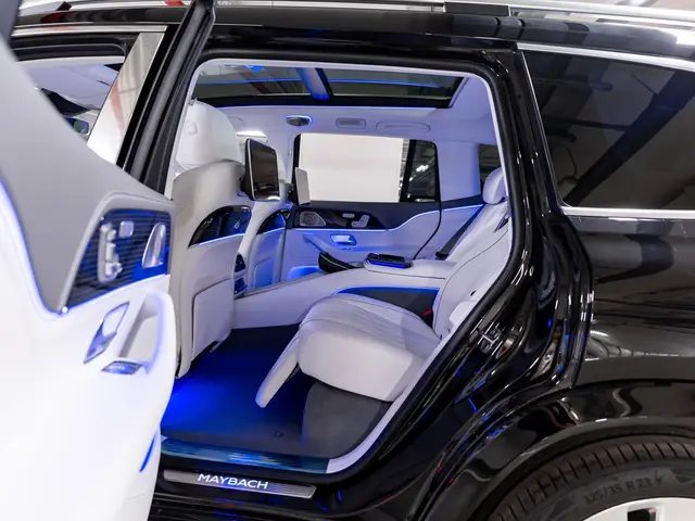 Mercedes-Benz Maybach GLS — миниатюра 27