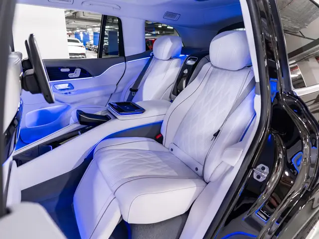 Mercedes-Benz Maybach GLS — миниатюра 29