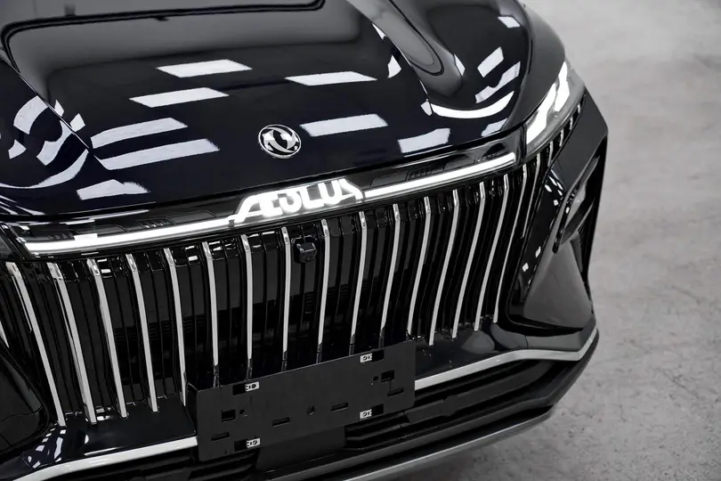 DongFeng Huge — миниатюра 25