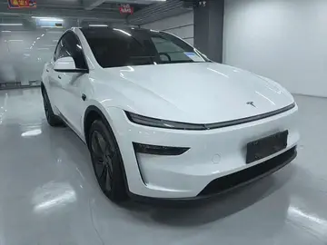 Tesla Model Y — миниатюра 6