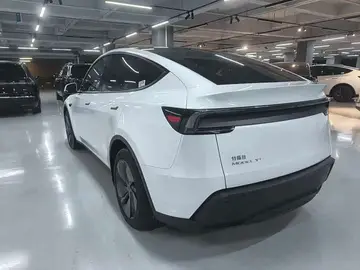 Tesla Model Y — миниатюра 7